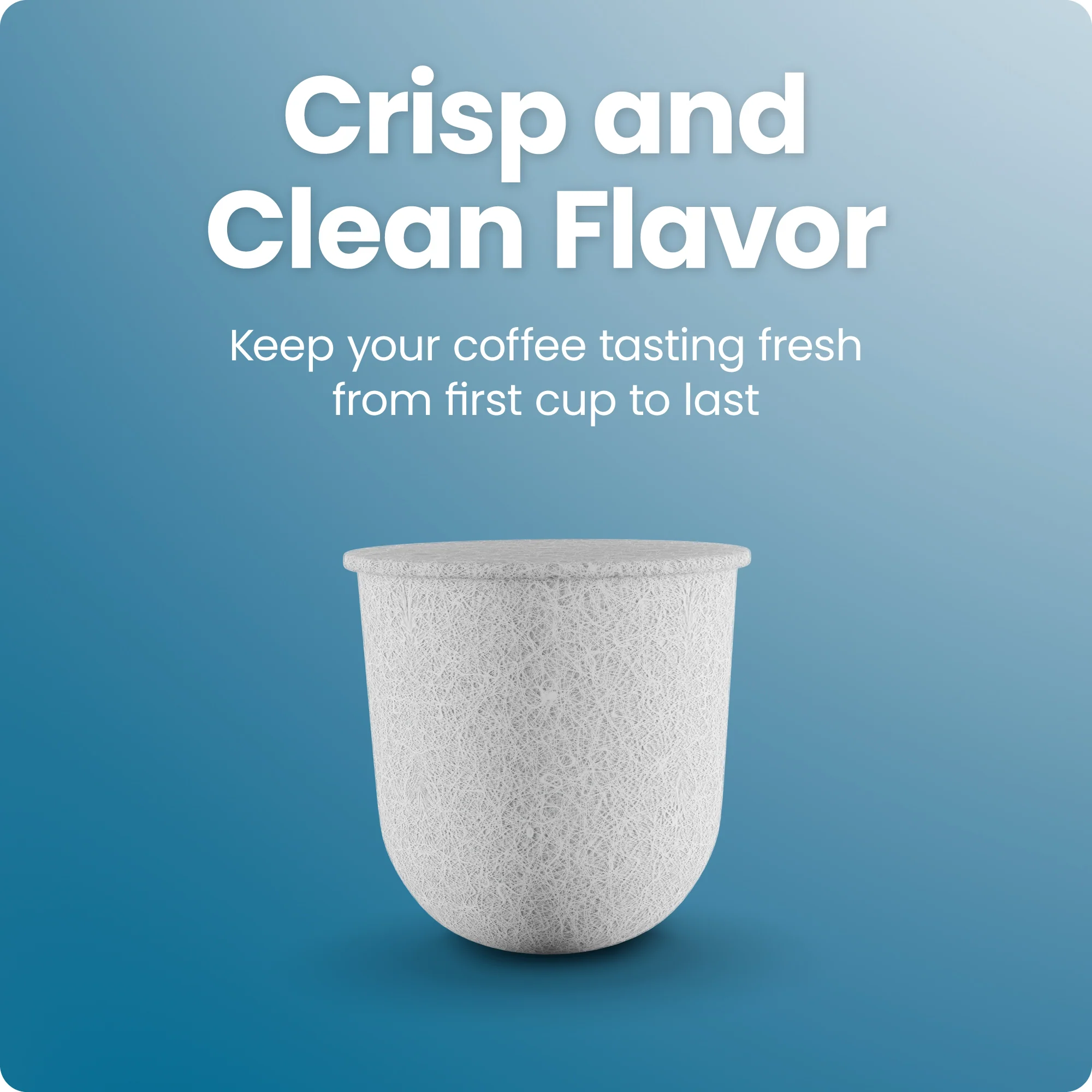 Caffeinator Replacement Filters - Image 2