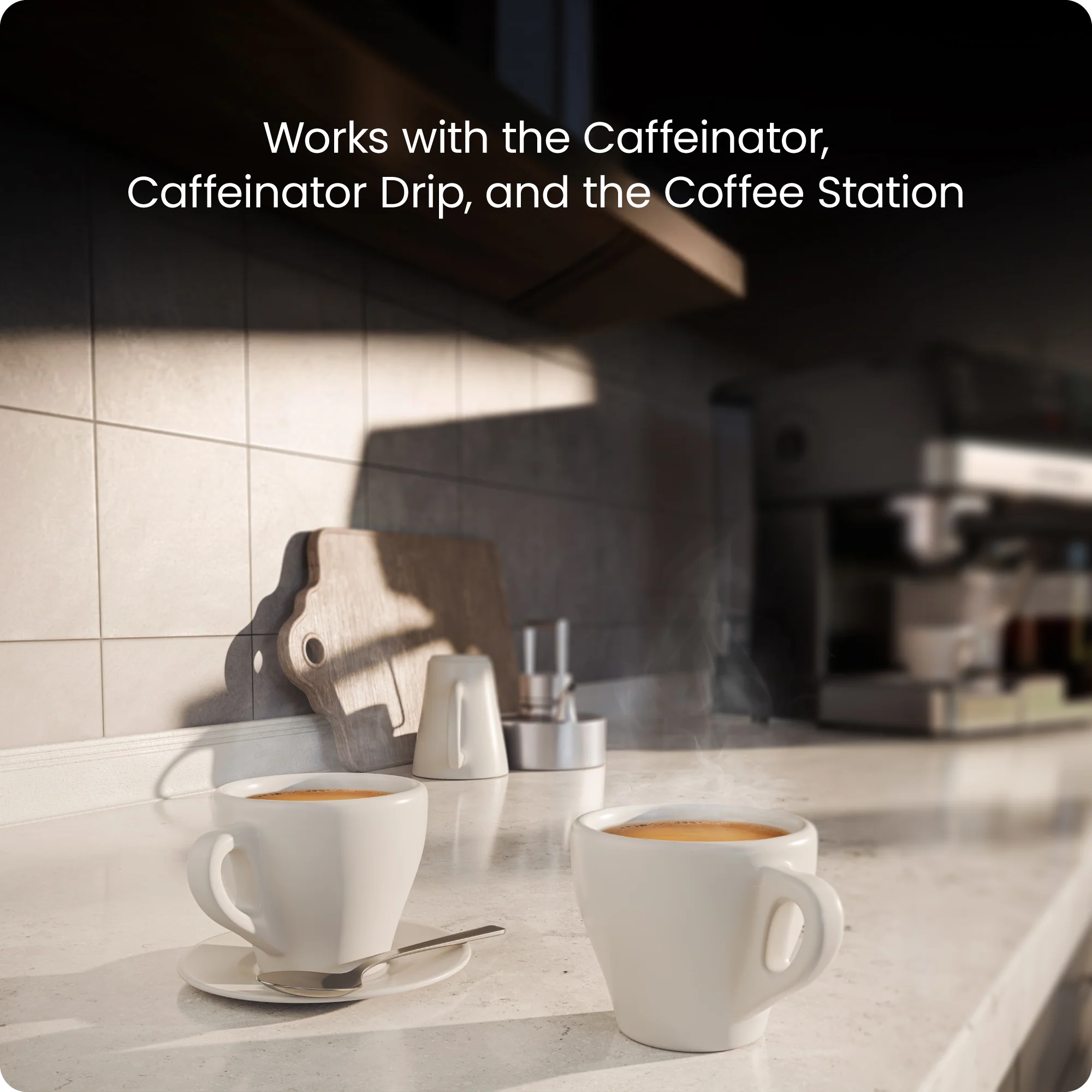Caffeinator Replacement Filters - Image 3